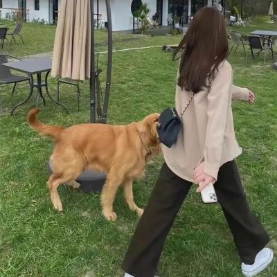 真·女立喰师列伝